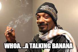 WHOA. ..A TALKING BANANA | made w/ Imgflip meme maker