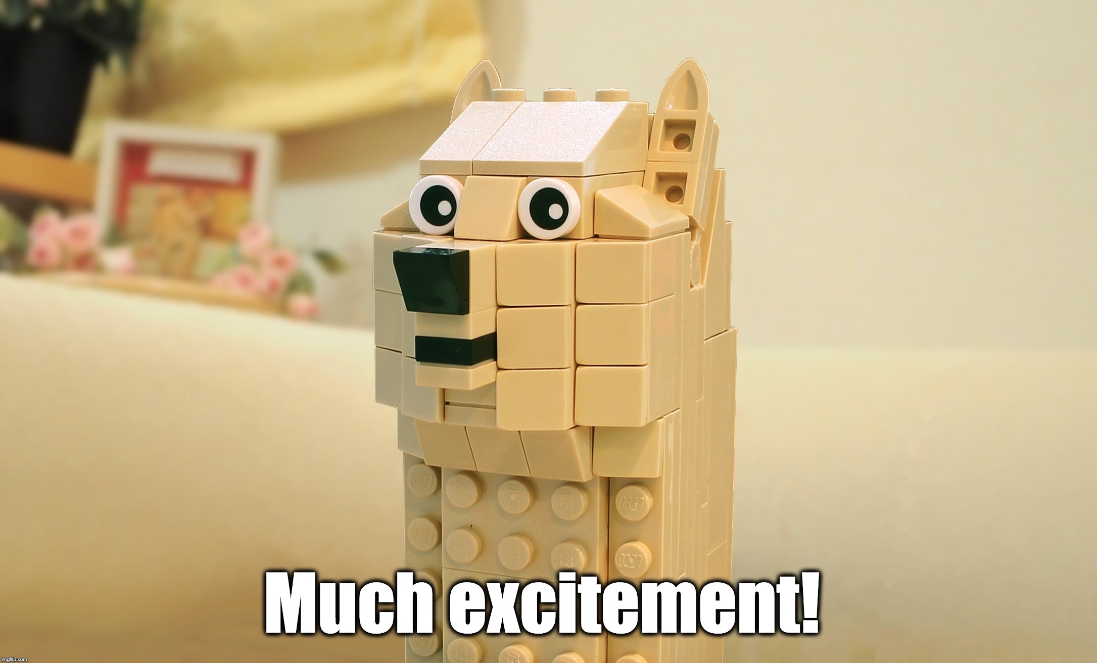 Much excitement! | made w/ Imgflip meme maker