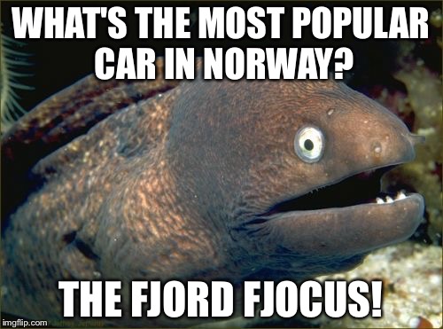 Dad joke, bad joke. | WHAT'S THE MOST POPULAR CAR IN NORWAY? THE FJORD FJOCUS! | image tagged in memes,bad joke eel,cars,geography,bad puns | made w/ Imgflip meme maker