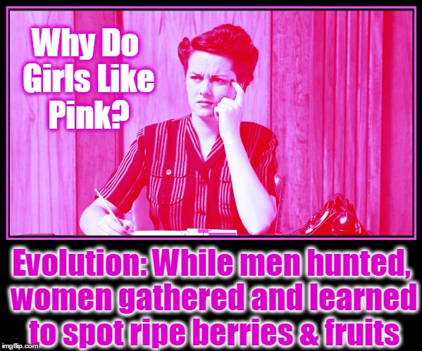 Pink: Feminism Versus Feminity | Why Do Girls Like Pink? Evolution: While men hunted, women gathered and learned to spot ripe berries & fruits | image tagged in vince vance,evolution,the development of gender,feminism versus feminity,how women got to be feminine,wednesdays we wear pink | made w/ Imgflip meme maker