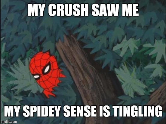 MY CRUSH SAW ME MY SPIDEY SENSE IS TINGLING | made w/ Imgflip meme maker