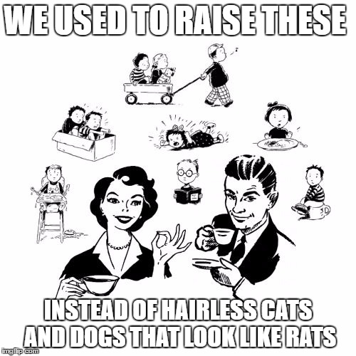 Big Family Comeback | WE USED TO RAISE THESE; INSTEAD OF HAIRLESS CATS AND DOGS THAT LOOK LIKE RATS | image tagged in memes,big family comeback | made w/ Imgflip meme maker