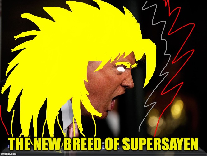 Supersayen trump | THE NEW BREED OF SUPERSAYEN | image tagged in memes,donald trumph hair | made w/ Imgflip meme maker