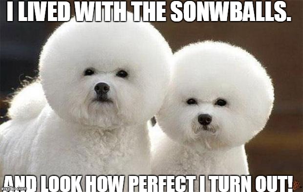 Spaceball Dogs | I LIVED WITH THE SONWBALLS. AND LOOK HOW PERFECT I TURN OUT! | image tagged in spaceball dogs,scumbag | made w/ Imgflip meme maker