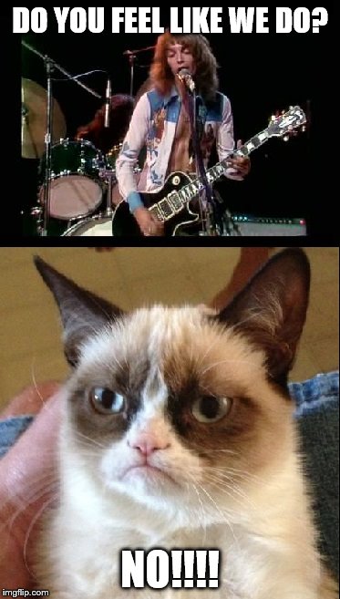 Peter Frampton vs. Grumpy Cat
 |  DO YOU FEEL LIKE WE DO? NO!!!! | image tagged in peter frampton,grumpy cat,you saw this coming | made w/ Imgflip meme maker