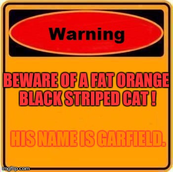 Warning Sign | BEWARE OF A FAT ORANGE BLACK STRIPED CAT ! HIS NAME IS GARFIELD. | image tagged in memes,warning sign,garfield | made w/ Imgflip meme maker