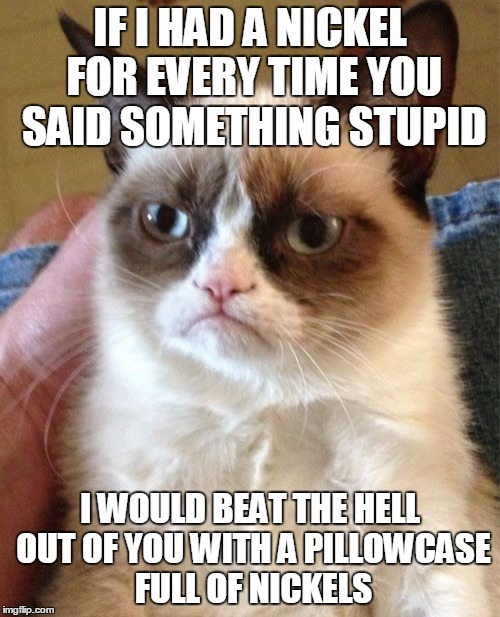 Grumpy Cat | IF I HAD A NICKEL FOR EVERY TIME YOU SAID SOMETHING STUPID; I WOULD BEAT THE HELL OUT OF YOU WITH A PILLOWCASE FULL OF NICKELS | image tagged in memes,grumpy cat | made w/ Imgflip meme maker