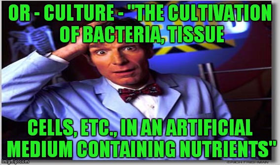 OR - CULTURE - "THE CULTIVATION OF BACTERIA, TISSUE CELLS, ETC., IN AN ARTIFICIAL MEDIUM CONTAINING NUTRIENTS" | made w/ Imgflip meme maker