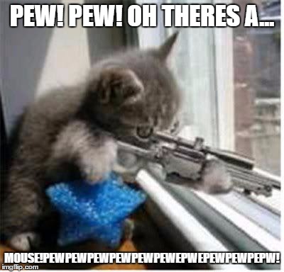 cats with guns | PEW! PEW! OH THERES A... MOUSE!PEWPEWPEWPEWPEWPEWEPWEPEWPEWPEPW! | image tagged in cats with guns | made w/ Imgflip meme maker