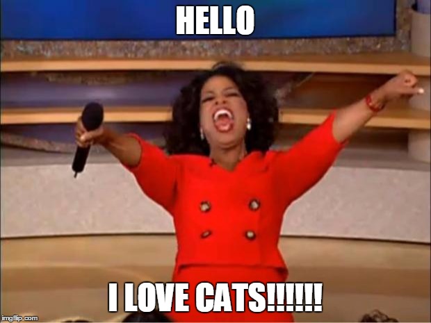 Oprah You Get A | HELLO; I LOVE CATS!!!!!! | image tagged in memes,oprah you get a | made w/ Imgflip meme maker