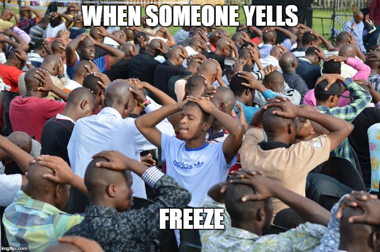 Freeze | WHEN SOMEONE YELLS; FREEZE | image tagged in freeze | made w/ Imgflip meme maker
