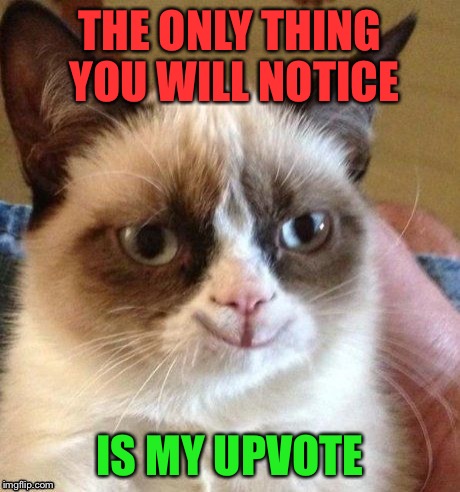 grumpy smile | THE ONLY THING YOU WILL NOTICE IS MY UPVOTE | image tagged in grumpy smile | made w/ Imgflip meme maker