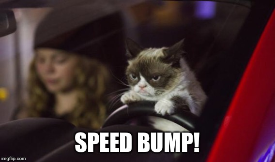 SPEED BUMP! | made w/ Imgflip meme maker