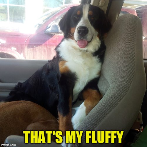 THAT'S MY FLUFFY | made w/ Imgflip meme maker