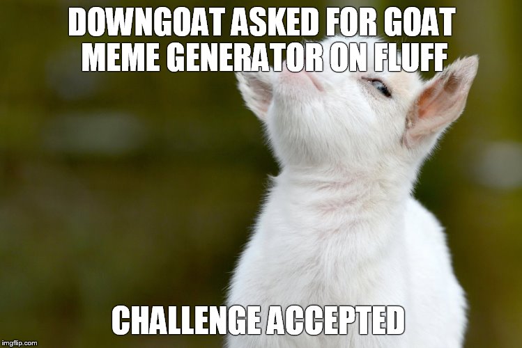 DOWNGOAT ASKED FOR GOAT MEME GENERATOR ON FLUFF; CHALLENGE ACCEPTED | image tagged in proud baby goat | made w/ Imgflip meme maker