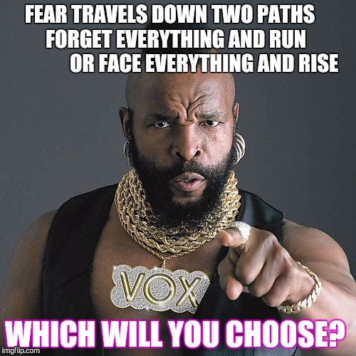 Mr T Pity The Fool | FEAR TRAVELS DOWN TWO PATHS        
FORGET EVERYTHING AND RUN
                   OR
FACE EVERYTHING AND RISE; WHICH WILL YOU CHOOSE? | image tagged in memes,mr t pity the fool | made w/ Imgflip meme maker