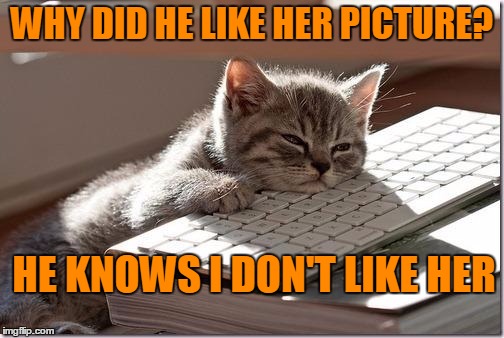 No sugar for him. | WHY DID HE LIKE HER PICTURE? HE KNOWS I DON'T LIKE HER | image tagged in computer cat | made w/ Imgflip meme maker