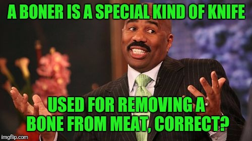 Steve Harvey Meme | A BONER IS A SPECIAL KIND OF KNIFE USED FOR REMOVING A BONE FROM MEAT, CORRECT? | image tagged in memes,steve harvey | made w/ Imgflip meme maker