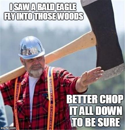 I SAW A BALD EAGLE FLY INTO THOSE WOODS BETTER CHOP IT ALL DOWN TO BE SURE | made w/ Imgflip meme maker