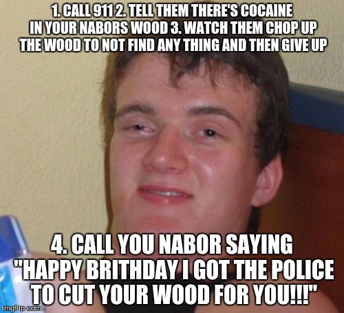10 Guy | 1. CALL 911 2. TELL THEM THERE'S COCAINE IN YOUR NABORS WOOD 3. WATCH THEM CHOP UP THE WOOD TO NOT FIND ANY THING AND THEN GIVE UP; 4. CALL YOU NABOR SAYING "HAPPY BRITHDAY I GOT THE POLICE TO CUT YOUR WOOD FOR YOU!!!" | image tagged in memes,10 guy | made w/ Imgflip meme maker