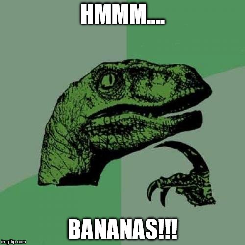 Philosoraptor Meme | HMMM.... BANANAS!!! | image tagged in memes,philosoraptor | made w/ Imgflip meme maker