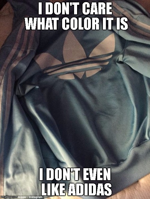I don't care what the color is  | I DON'T CARE WHAT COLOR IT IS; I DON'T EVEN LIKE ADIDAS | image tagged in adidas,what color is this dress | made w/ Imgflip meme maker