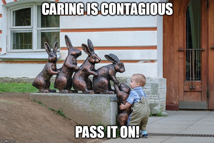 PFB Caring  | CARING IS CONTAGIOUS; PASS IT ON! | image tagged in sharing is caring | made w/ Imgflip meme maker