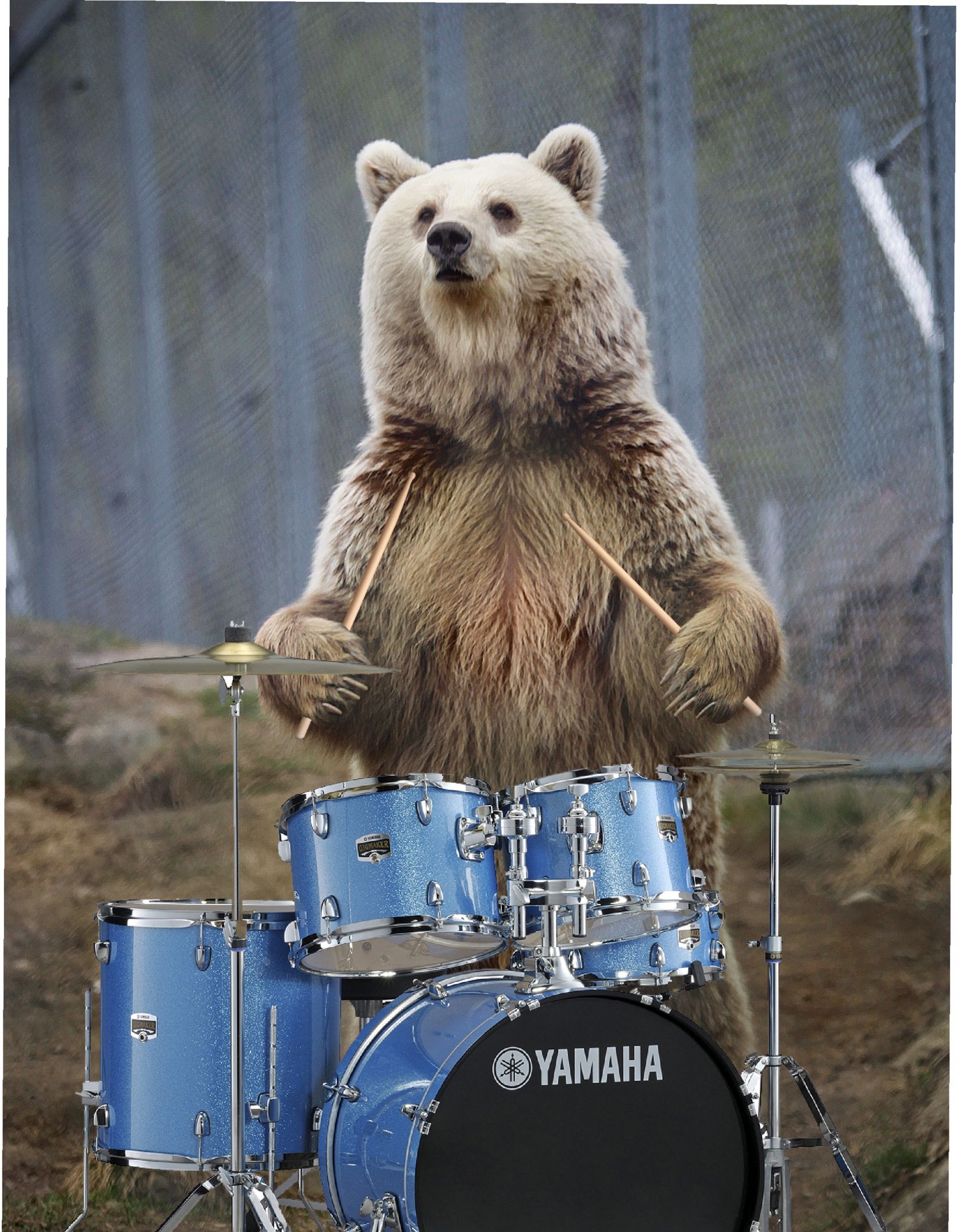 Drummer bear Blank Meme Template