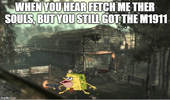 Wish i could turn back time to the good old fashioned call of duty | WHEN YOU HEAR FETCH ME THER SOULS, BUT YOU STILL GOT THE M1911 | image tagged in hellhounds,shi no numa,codzombies | made w/ Imgflip meme maker