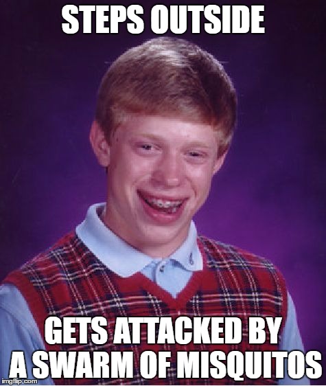 Gotta Love Spring! | STEPS OUTSIDE; GETS ATTACKED BY A SWARM OF MISQUITOS | image tagged in memes,bad luck brian | made w/ Imgflip meme maker