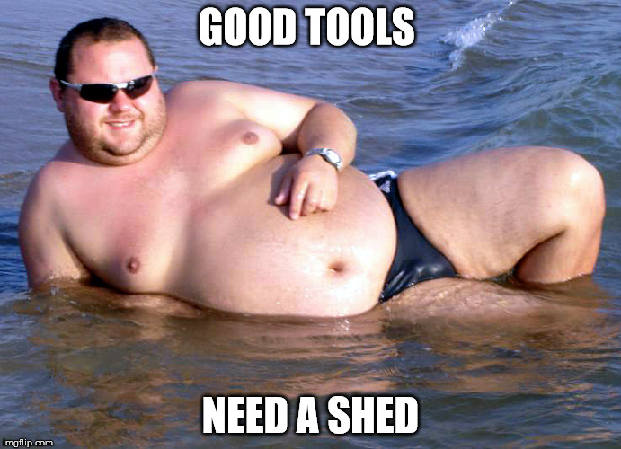 Wisdom | GOOD TOOLS; NEED A SHED | image tagged in fat guy speedo,memes | made w/ Imgflip meme maker