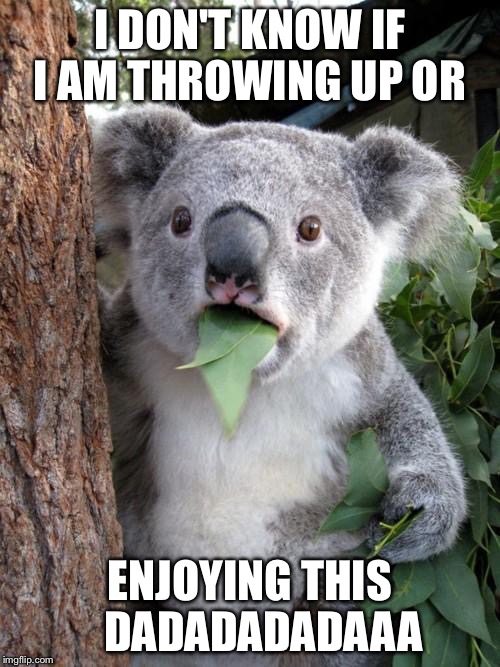 Surprised Koala Meme | I DON'T KNOW IF I AM THROWING UP OR; ENJOYING THIS 

DADADADADAAA | image tagged in memes,surprised koala | made w/ Imgflip meme maker
