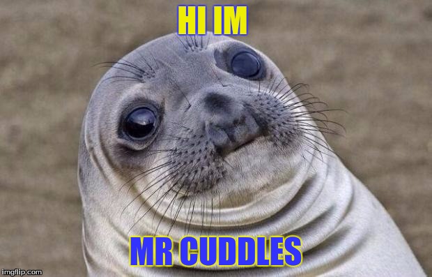 Awkward Moment Sealion | HI IM; MR CUDDLES | image tagged in memes,awkward moment sealion | made w/ Imgflip meme maker