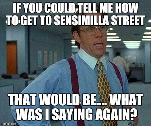 I'm gonna have to get into character for this 420 Week - A JohnnyMcCheesebag event | IF YOU COULD TELL ME HOW TO GET TO SENSIMILLA STREET; THAT WOULD BE.... WHAT WAS I SAYING AGAIN? | image tagged in memes,420,420 week,no seeds | made w/ Imgflip meme maker