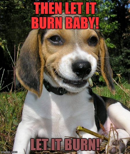 Evil Beagle puppy | THEN LET IT BURN BABY! LET IT BURN! | image tagged in evil beagle puppy | made w/ Imgflip meme maker