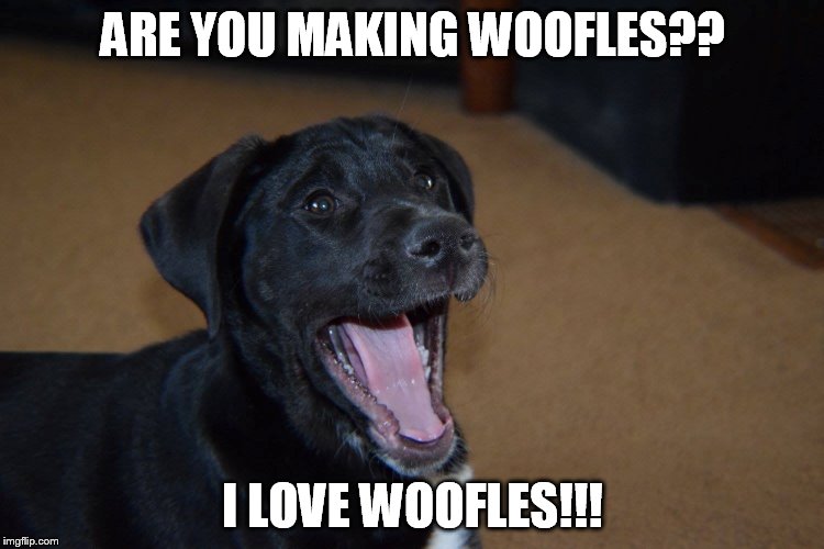 ARE YOU MAKING WOOFLES?? I LOVE WOOFLES!!! | made w/ Imgflip meme maker