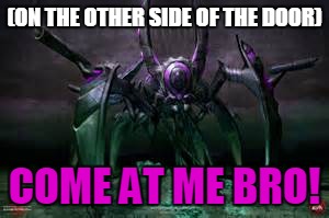 (ON THE OTHER SIDE OF THE DOOR) COME AT ME BRO! | made w/ Imgflip meme maker