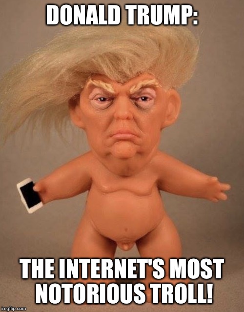 DONALD TRUMP:; THE INTERNET'S MOST NOTORIOUS TROLL! | image tagged in donald trump the troll | made w/ Imgflip meme maker