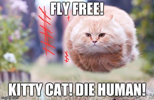 FLY FREE! KITTY CAT! DIE HUMAN! | image tagged in funny memes | made w/ Imgflip meme maker