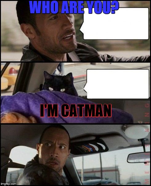 The Rock Driving Evil Cat | WHO ARE YOU? I'M CATMAN | image tagged in the rock driving evil cat | made w/ Imgflip meme maker