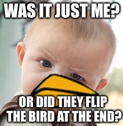 Skeptical Baby Meme | WAS IT JUST ME? OR DID THEY FLIP THE BIRD AT THE END? | image tagged in memes,skeptical baby | made w/ Imgflip meme maker
