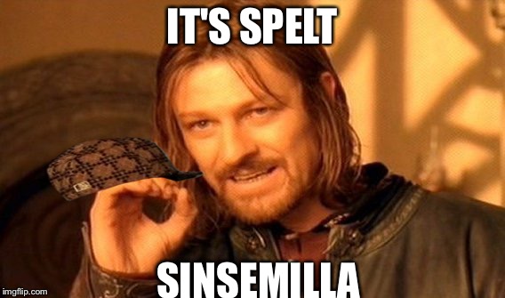 One Does Not Simply Meme | IT'S SPELT SINSEMILLA | image tagged in memes,one does not simply,scumbag | made w/ Imgflip meme maker