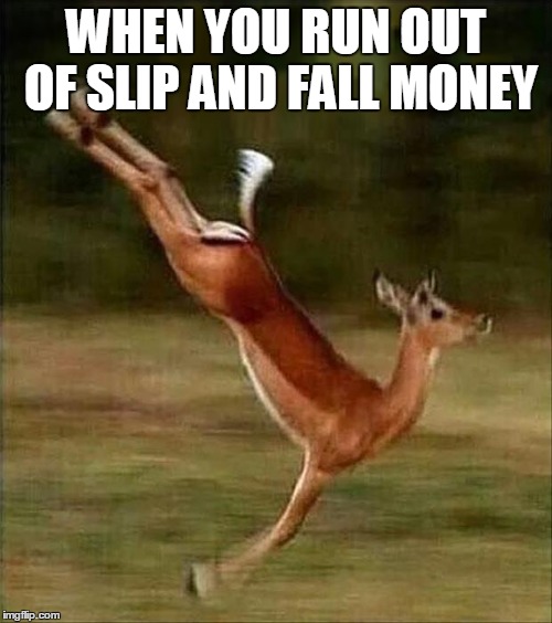 slip and fall deer | WHEN YOU RUN OUT OF SLIP AND FALL MONEY | image tagged in slip and fall,sue,cash,deer | made w/ Imgflip meme maker