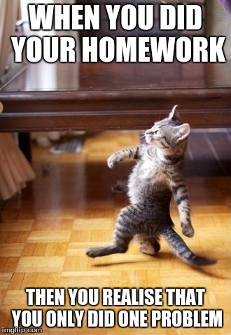Cool Cat Stroll | WHEN YOU DID YOUR HOMEWORK; THEN YOU REALISE THAT YOU ONLY DID ONE PROBLEM | image tagged in memes,cool cat stroll | made w/ Imgflip meme maker