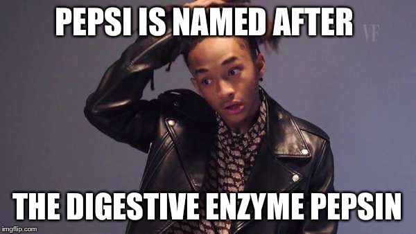 Jaden smith facts  | PEPSI IS NAMED AFTER; THE DIGESTIVE ENZYME PEPSIN | image tagged in jaden smith | made w/ Imgflip meme maker