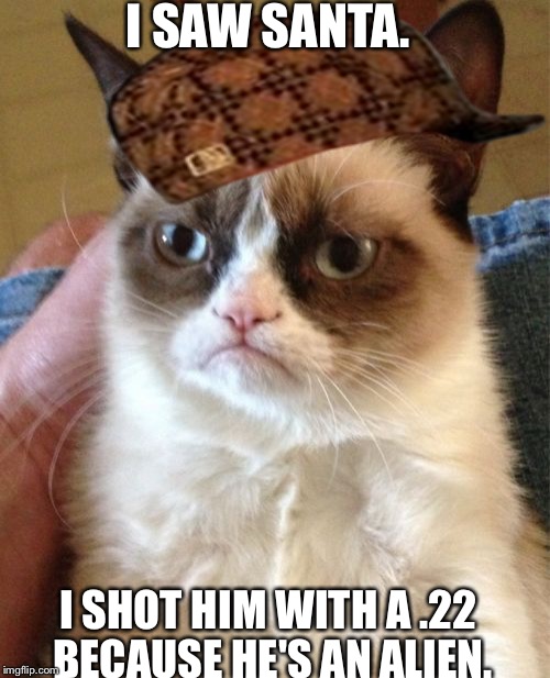 Grumpy Cat Meme | I SAW SANTA. I SHOT HIM WITH A .22 BECAUSE HE'S AN ALIEN. | image tagged in memes,grumpy cat,scumbag | made w/ Imgflip meme maker