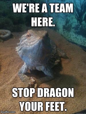 WE'RE A TEAM HERE; STOP DRAGON YOUR FEET | image tagged in memes,dragon | made w/ Imgflip meme maker
