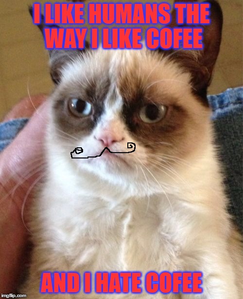 Grumpy Cat Meme | I LIKE HUMANS THE WAY I LIKE COFEE; AND I HATE COFEE | image tagged in memes,grumpy cat | made w/ Imgflip meme maker