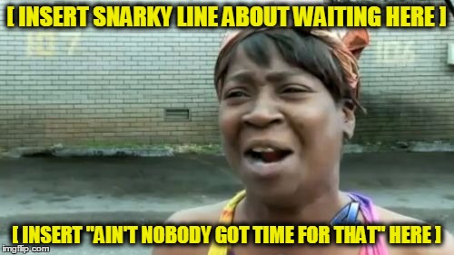 Ain't Nobody Got Time For That Meme | [ INSERT SNARKY LINE ABOUT WAITING HERE ] [ INSERT "AIN'T NOBODY GOT TIME FOR THAT" HERE ] | image tagged in memes,aint nobody got time for that | made w/ Imgflip meme maker