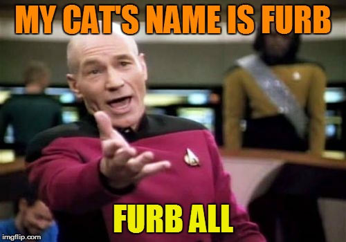Picard Wtf Meme | MY CAT'S NAME IS FURB FURB ALL | image tagged in memes,picard wtf | made w/ Imgflip meme maker